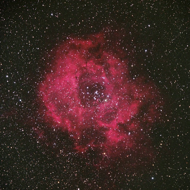 Rosette Nebula